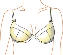 Pushup wonder bra